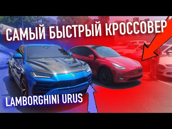 Urus Hennessy за 300ооо VS Model Y Performance, Lamborghini, Tesla Model Y Performance