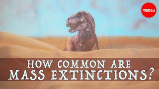 When will the next mass extinction occur - Borths, D'Emic, and Pritchard