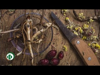 169 Кому – вершки, а кому – корешки!