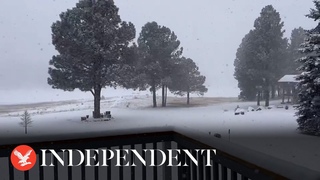 Snow blankets New Mexico as winter storm warning issued in parts of state