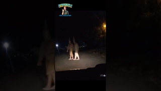 Жуткие клоуны насмехаются над полицейскими/“Паранормальный Веллингтон“(2018) #сериал #ужасы #комедия