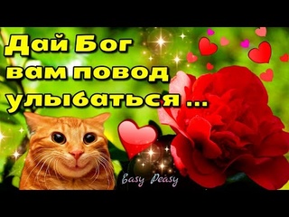 🌞🌈💗Доброго утра благословенного дня!💗🌞🌿Отличной недели!💗Красивое музыкальное пожелание🎵