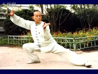 Chen Taijiquan. Master Lingzhi An (凌志安)