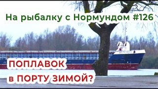 Что можно поймать на ПОПЛАВОК в ПОРТУ ЗИМОЙ / На рыбалку с Нормундом #126