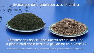 Escroquerie de la population avec l'Artemisia