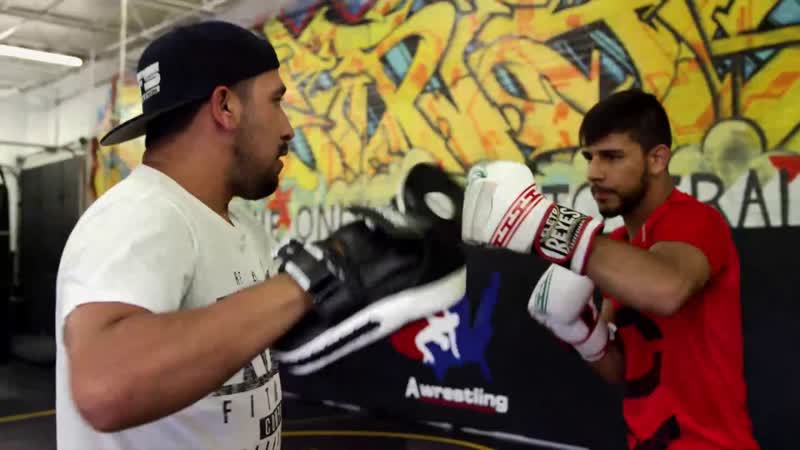 Fight Night Phoenix: Yair Rodriguez Pride of