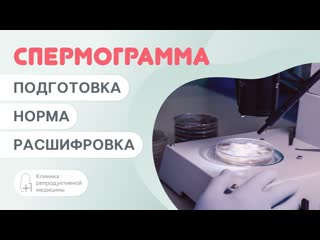 Спермограмма: подготовка, норма и расшифровка