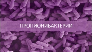 Пропионибактерии. Микробиология.
