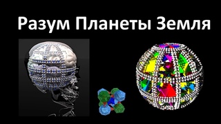 Разум Планеты Земля