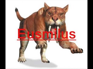 Tribute To Extinct Animals