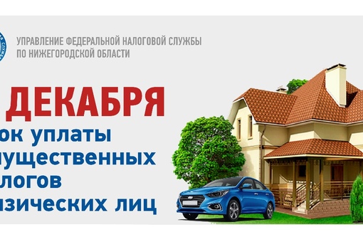 уплата имущественных налогов. налог на недвижимость. единый срок уплаты имущественных налогов. уплата имущественного налога физических лиц. имущественные налоги физических лиц.