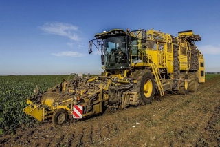RÜBEN RODEN 2016 | NEW ROPA TIGER 5 | SUGARBEET HARVEST | R CONCEPT | LU GASPERS