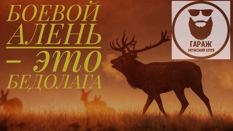 БОЕВОЙ АЛЕНЬ это БЕДОЛАГА NICK B, психология, социум,