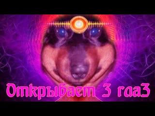 Давг открывает 3 глаз в Sayonara Wild Hearts