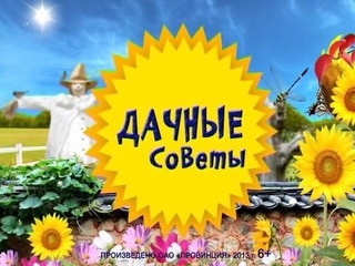 Дачные советы
