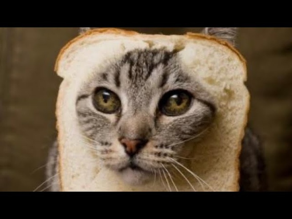 Vers un Pain de Mie
