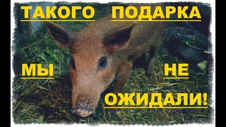 НЕ ЖДАЛИ - НЕ ГАДАЛИ!