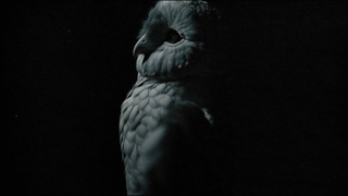 Deftones  976-EVIL (Official Visualizer)