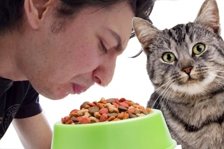 Eating CAT FOOD Prank!!