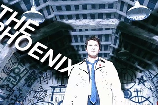 Multifandom | The Phoenix