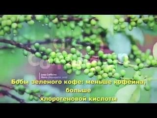 ELEV8  Уникальный продукт ELEV8