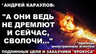 *Андрей Караулов: “А они ведь не дремлют и сейчас, сволочи...“ Подлинные цели и заказчики “Крокуса“