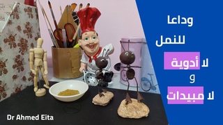 الحل السحري للقضاء على النمل بدون أدوية أو 