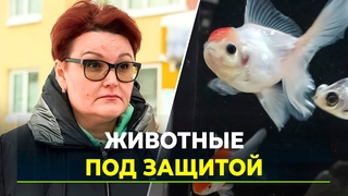 В Новом Уренгое зоомагазины  на контроле общественников