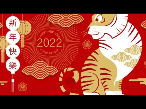 THE YEAR OF THE TIGER CITIZENS OF THE WORLD TAKE ACTION SANAT