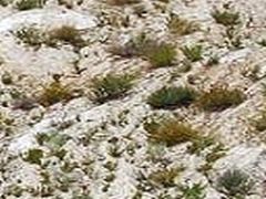 co71_cajon_pass_04