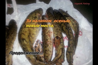 Рыбалка на налима,осень. По новым местам. Продолжение...
