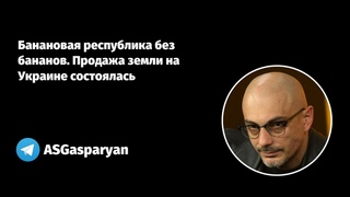 Банановая республика без бананов. Продажа земли на Украине состоялась