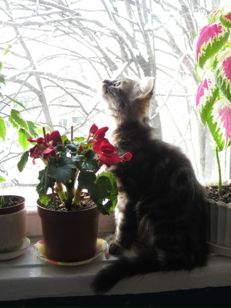 №28, Екатерина Кирдогло, Одесса №28, Екатерина Кирдогло, Одесса