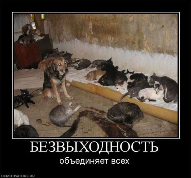 Valera Lee | Санкт-Петербург