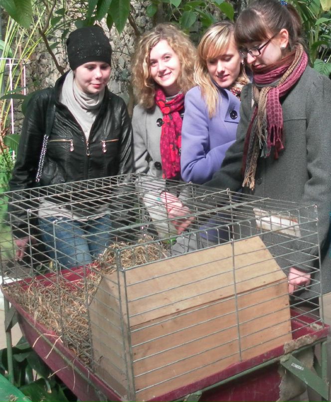 Екатерина Сарачинская | Жлобин