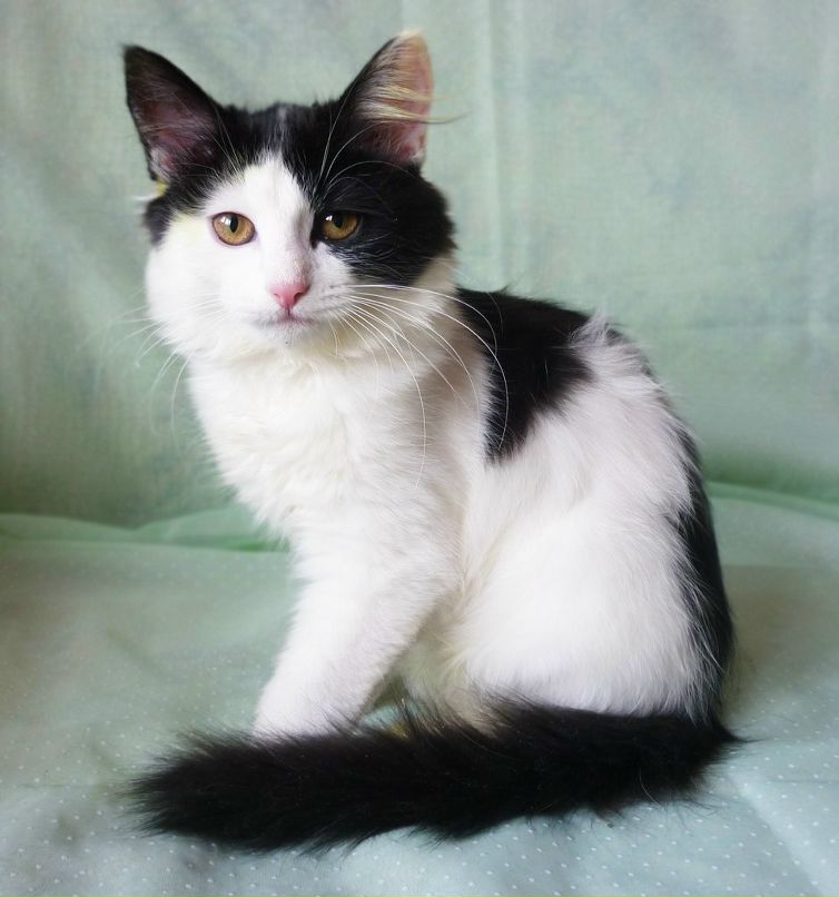 Маргарита Латыпова | Уфа