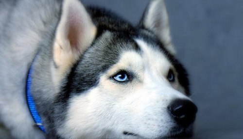 Игорь Березнюк | 