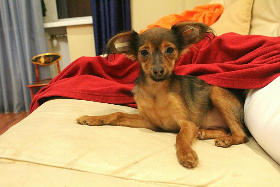 №12, Николай Меркулов №12, Николай Меркулов