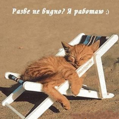 №12, Sveta Stas №12, Sveta Stas