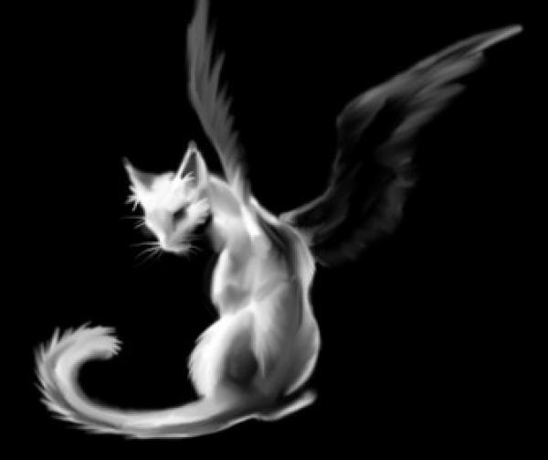 №10, Аминюшка Халикова, Ульяновск №10, Аминюшка Халикова, Ульяновск