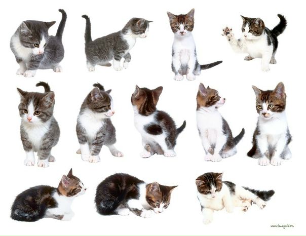 №7, Аминюшка Халикова, Ульяновск №7, Аминюшка Халикова, Ульяновск