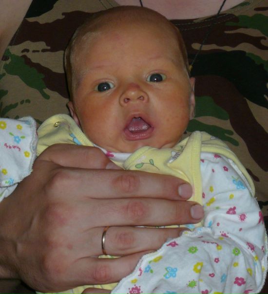 №138, Алла Лиса, Череповец №138, Алла Лиса, Череповец