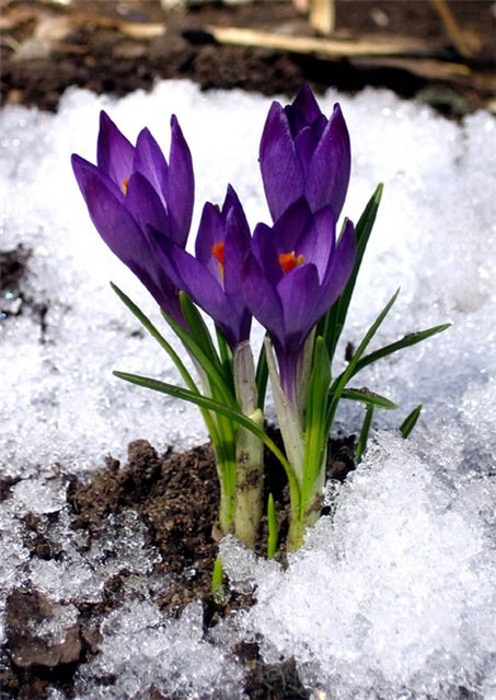 Dhyan Sundar | Санкт-Петербург