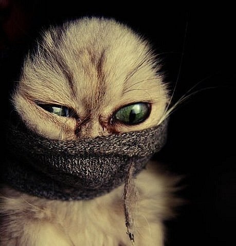 Макс Кирилов | Абакан