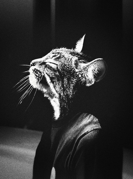 Богдан Водолажский ˙·٠•●๑۩I'm Panda۩๑●•٠·˙ | Санкт-Петербург