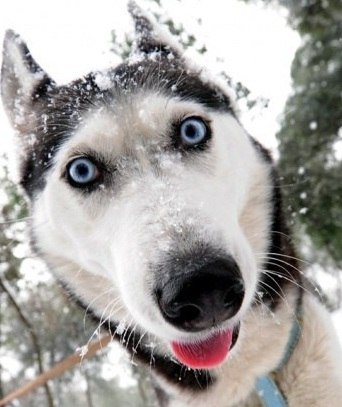 Фото профиля