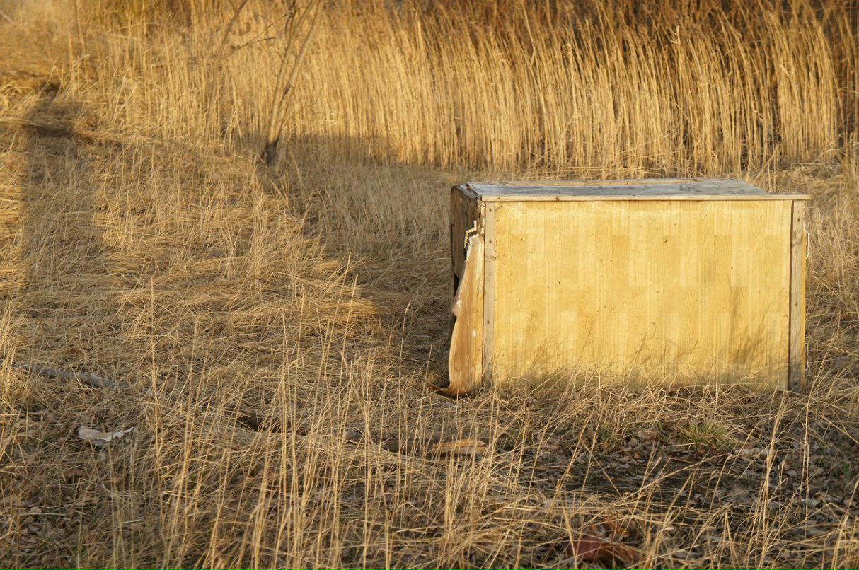 Миша Пономарев | Екатеринбург