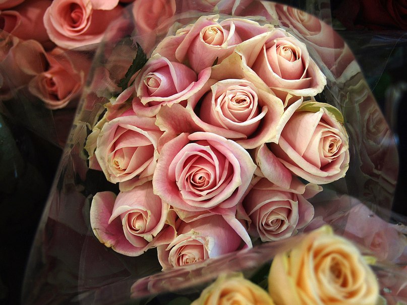 Тамила Ашукова | 