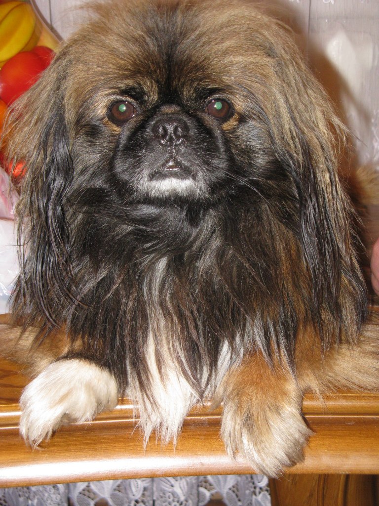 Юля Довганюк | Хмельницкий