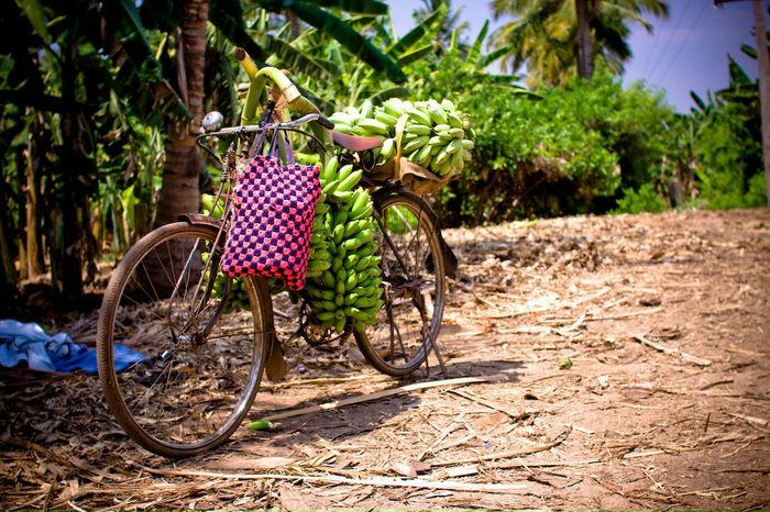 №38, Мария Крутских №38, Мария Крутских